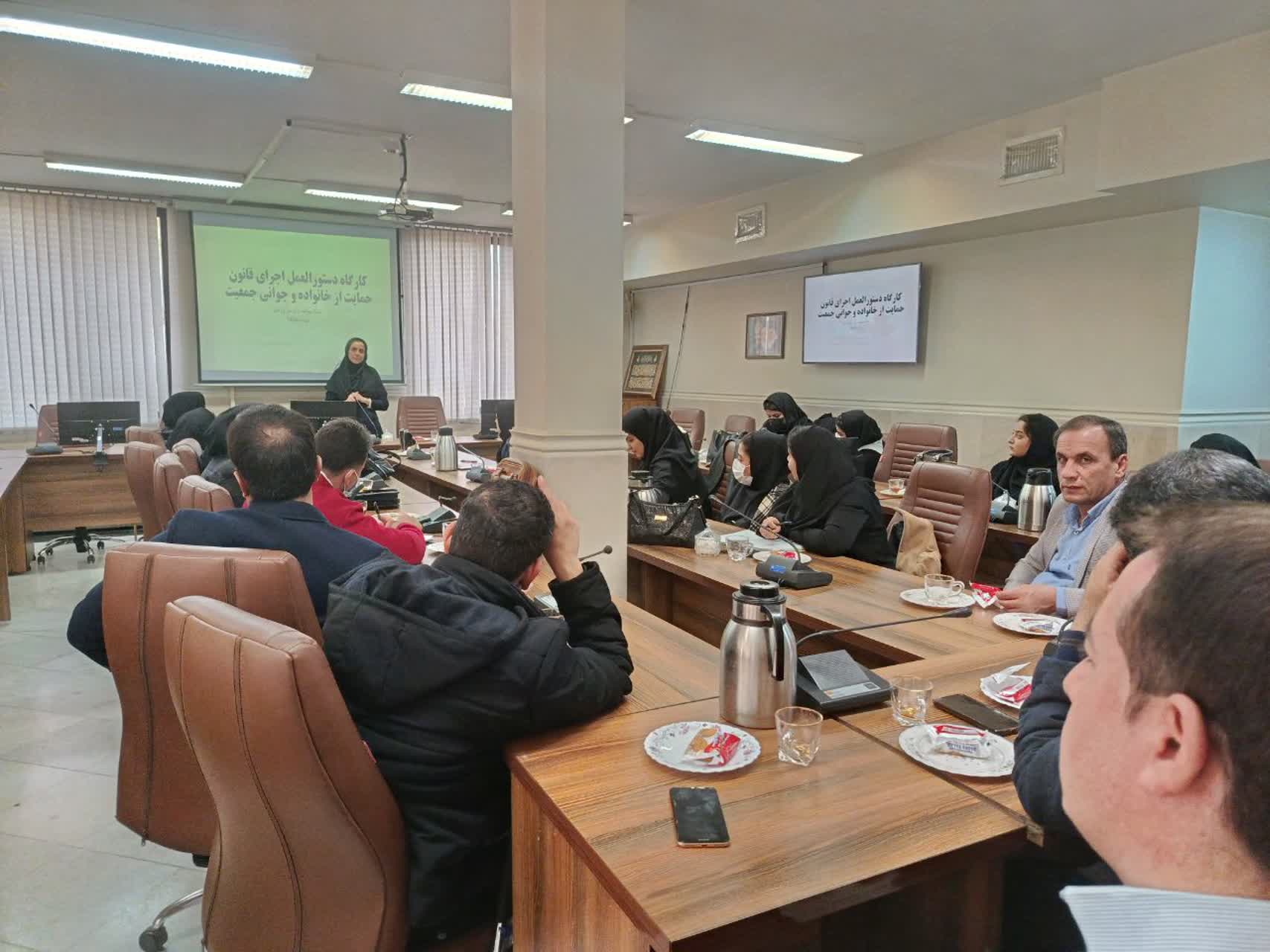 کارگاه قانون حمایت از خانواده و جوانی جمعیت